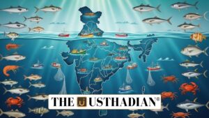 India’s Marine Fish Production Reaches Record Growth