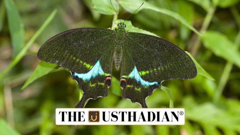 Thattekad Bird Sanctuary and New Faunal Discoveries