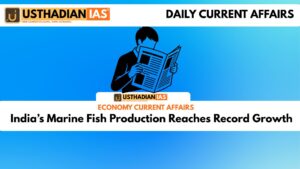 India’s Marine Fish Production Reaches Record Growth