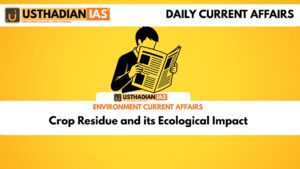 Crop Residue and its Ecological Impact