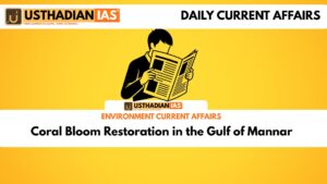 Coral Bloom Restoration in the Gulf of Mannar