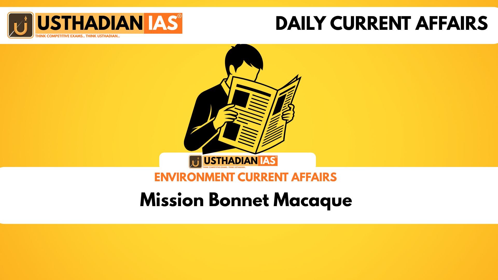 Mission Bonnet Macaque