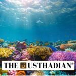 Coral Microatolls Indicate Early Indian Ocean Sea Level Changes