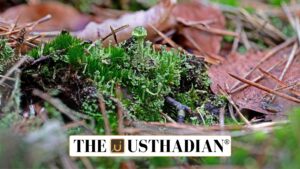 New Fungal Discoveries in Western Ghats