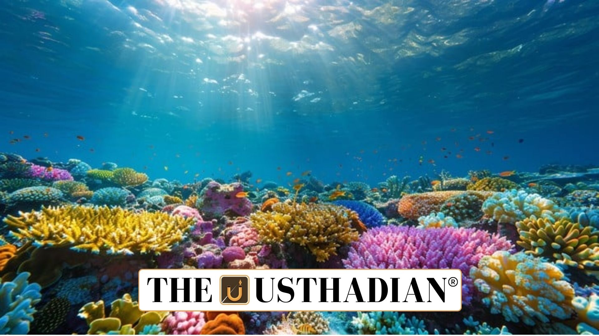 Coral Microatolls Indicate Early Indian Ocean Sea Level Changes