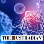 Global Cancer Burden and Rising Risks by 2050
