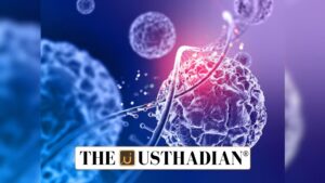 Global Cancer Burden and Rising Risks by 2050