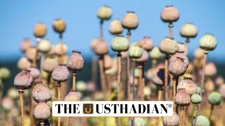 Annual Licensing Policy for Opium Cultivation 2025-26