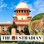 Mhadei Wildlife Sanctuary and Supreme Court Intervention