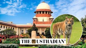 Mhadei Wildlife Sanctuary and Supreme Court Intervention