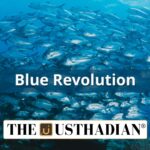 Five Years of Blue Revolution Growth and Sustainability in Fisheries