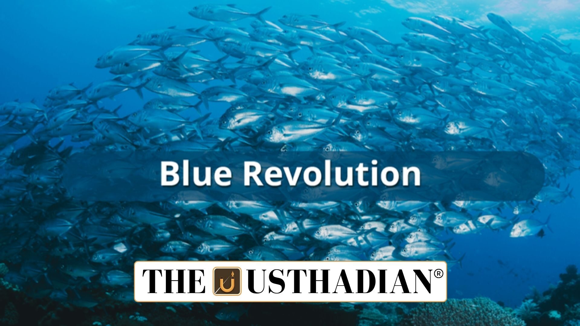Five Years of Blue Revolution Growth and Sustainability in Fisheries
