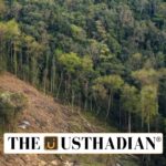 India Achieves Milestone in Forest Environmental Accounting