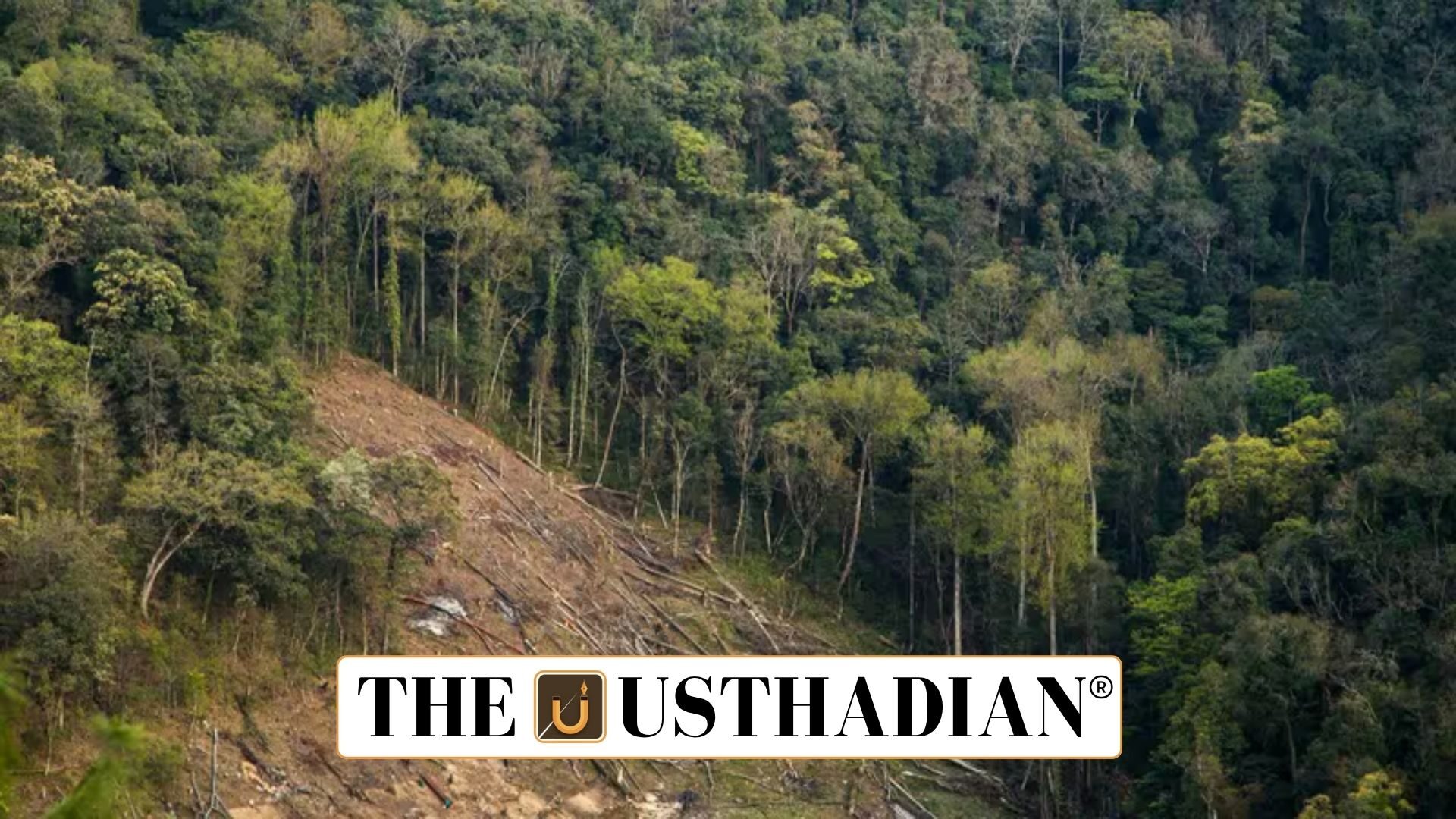 India Achieves Milestone in Forest Environmental Accounting