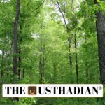 India’s Forest Environmental Accounting Progress 2025