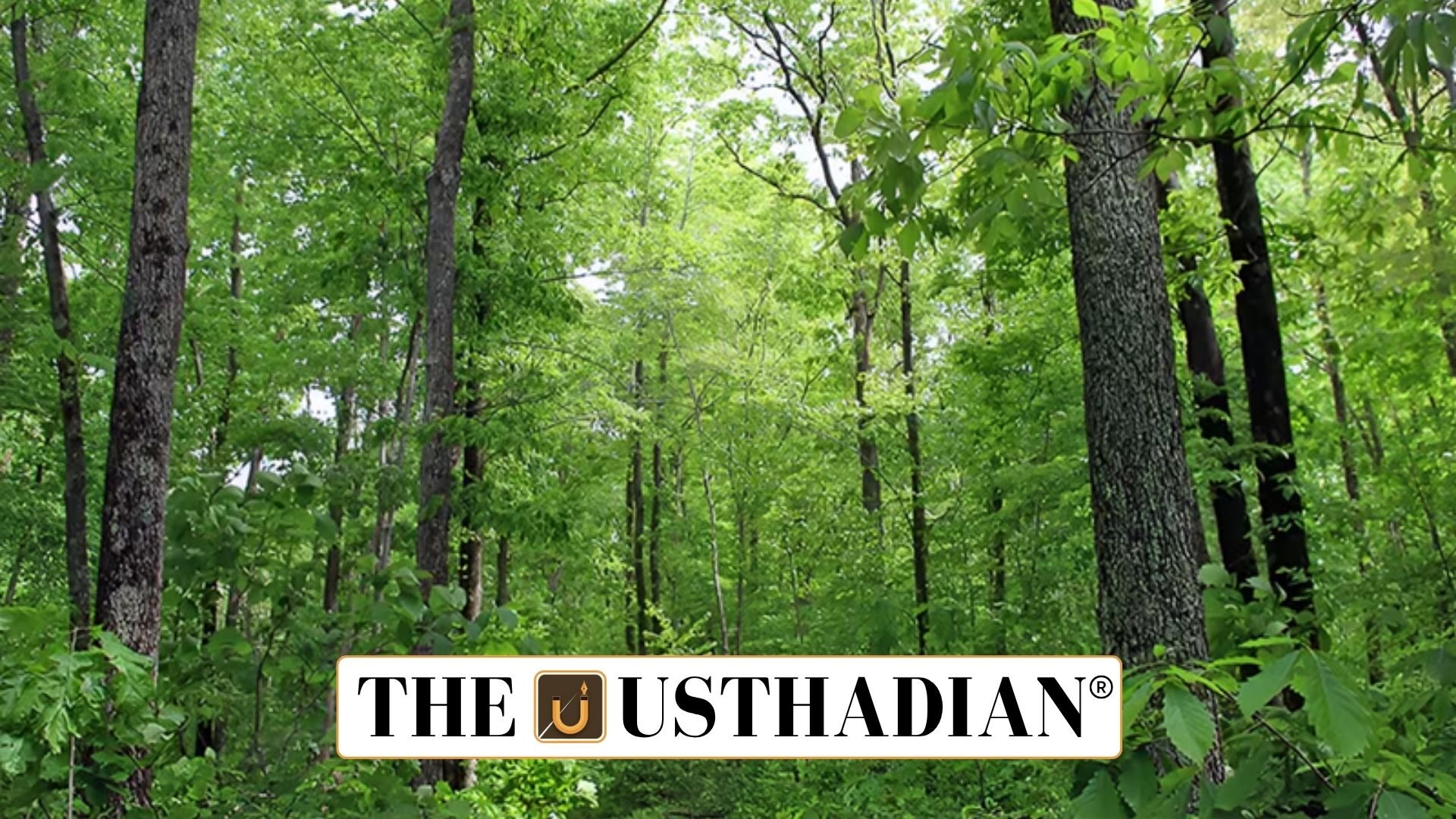 India’s Forest Environmental Accounting Progress 2025