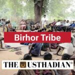 Birhor Tribe Electrification in Jharkhand