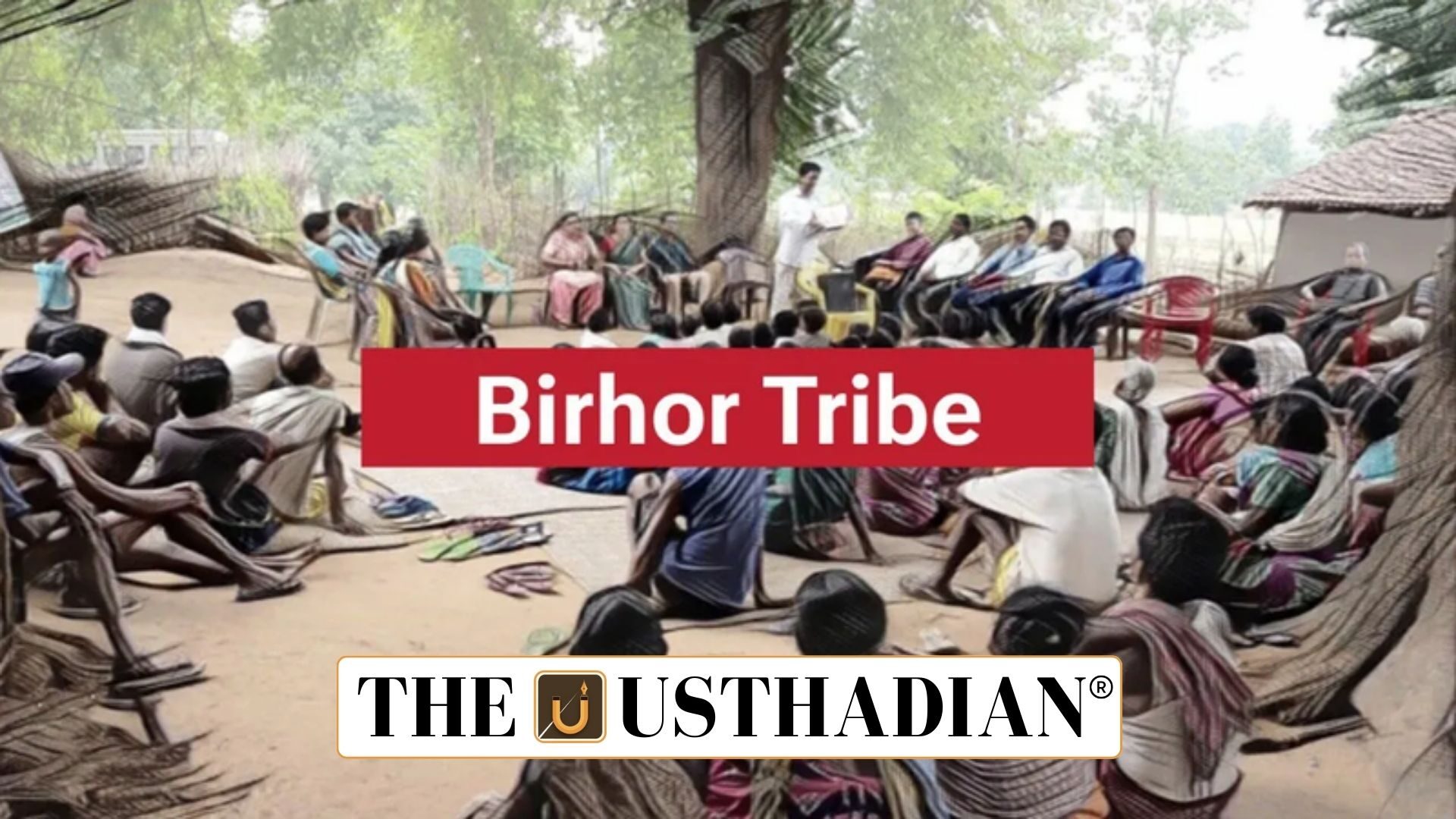 Birhor Tribe Electrification in Jharkhand