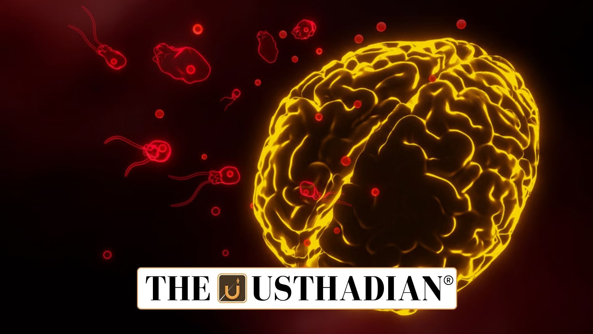 Brain Eating Amoeba Cases in Kerala