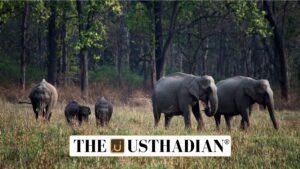 Kerala amendment move on wildlife protection law
