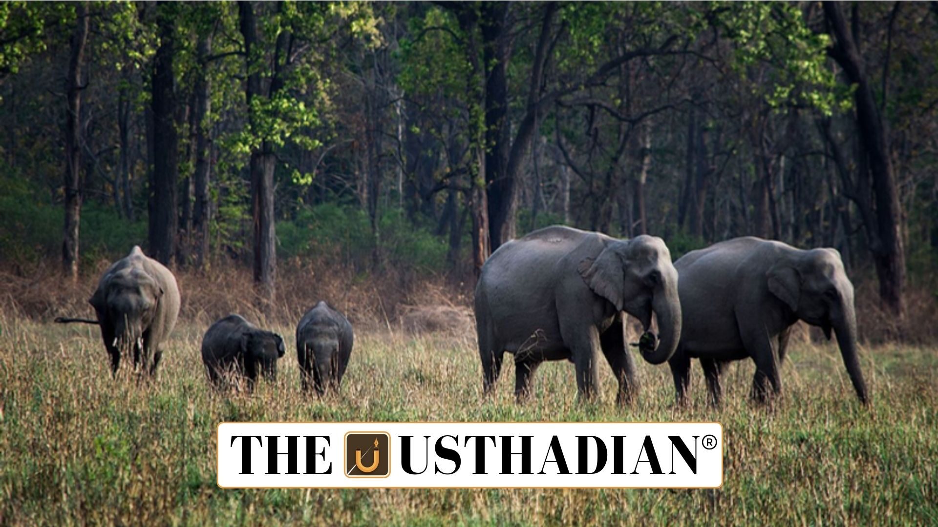 Kerala amendment move on wildlife protection law