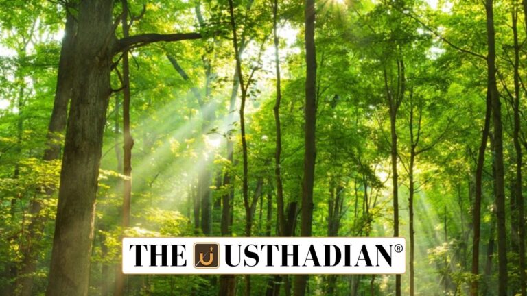 Delhi Forest Department Reaffirms Legal Definition of Trees