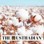 Kapas Kisan App for Cotton Farmers