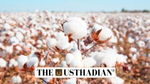 Kapas Kisan App for Cotton Farmers