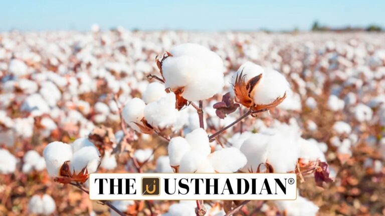 Kapas Kisan App for Cotton Farmers