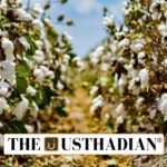 Tamil Nadu Cotton Farmers Struggle with MSP Gaps