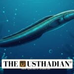 Snake Eel Species Discovery in India