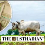 Grants to Tamil Nadu Rural Bodies