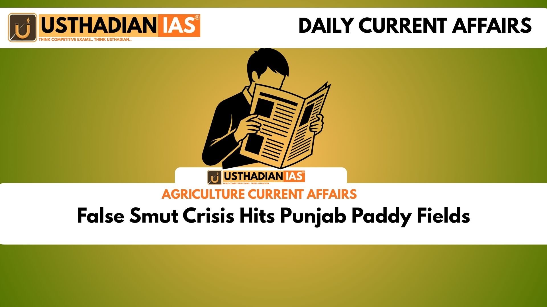 False Smut Crisis Hits Punjab Paddy Fields