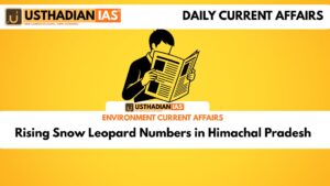 Rising Snow Leopard Numbers in Himachal Pradesh