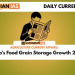 India’s Food Grain Storage Growth 2025