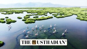 India’s Leap in Biosphere and Wetland Conservation