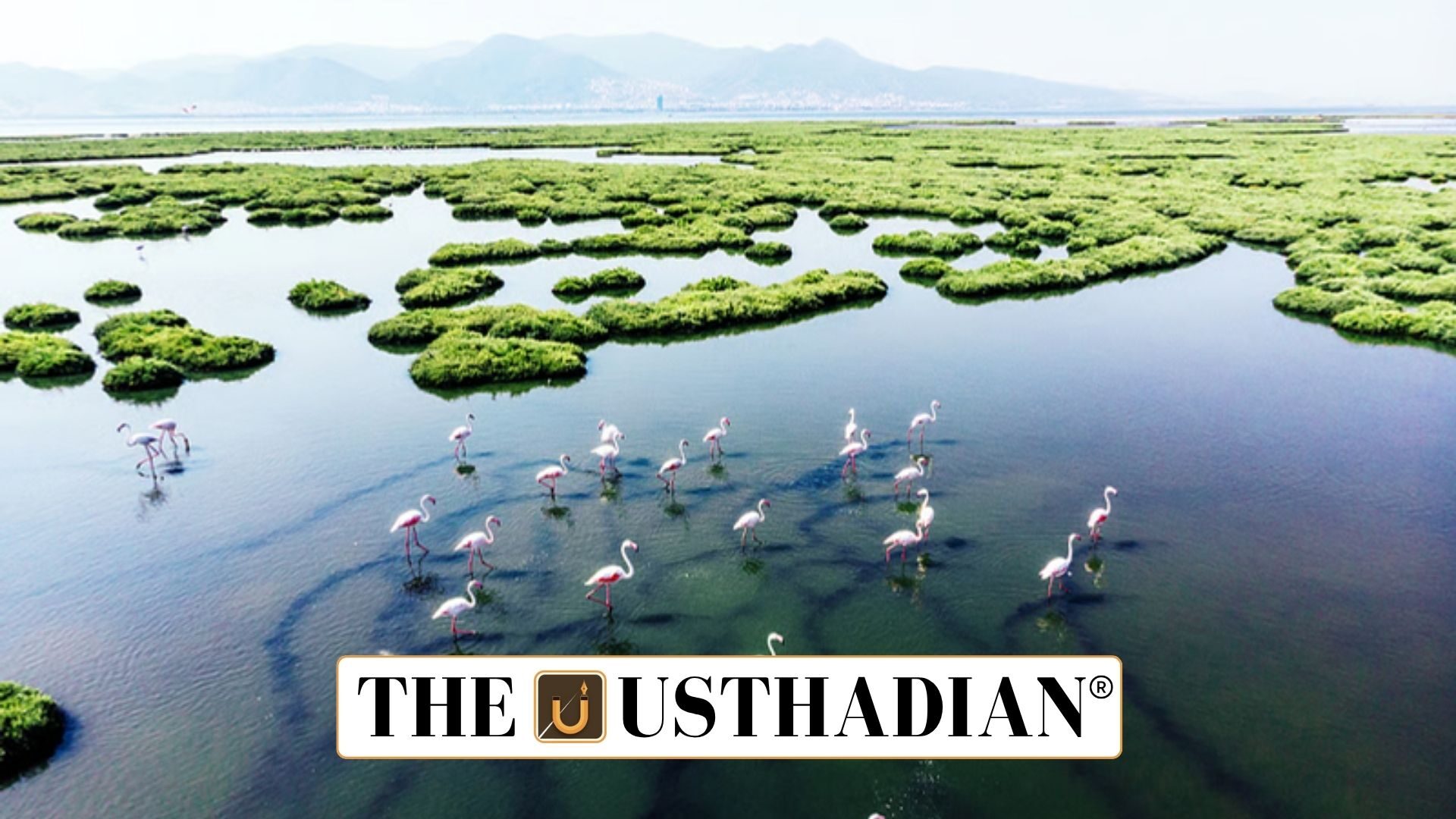 India’s Leap in Biosphere and Wetland Conservation