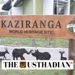 Global Recognition for Kaziranga’s Conservation Leadership