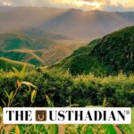 Dzukou Valley Nominated as Global Tourism Destination
