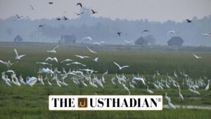 Bihar’s Two New Ramsar Sites