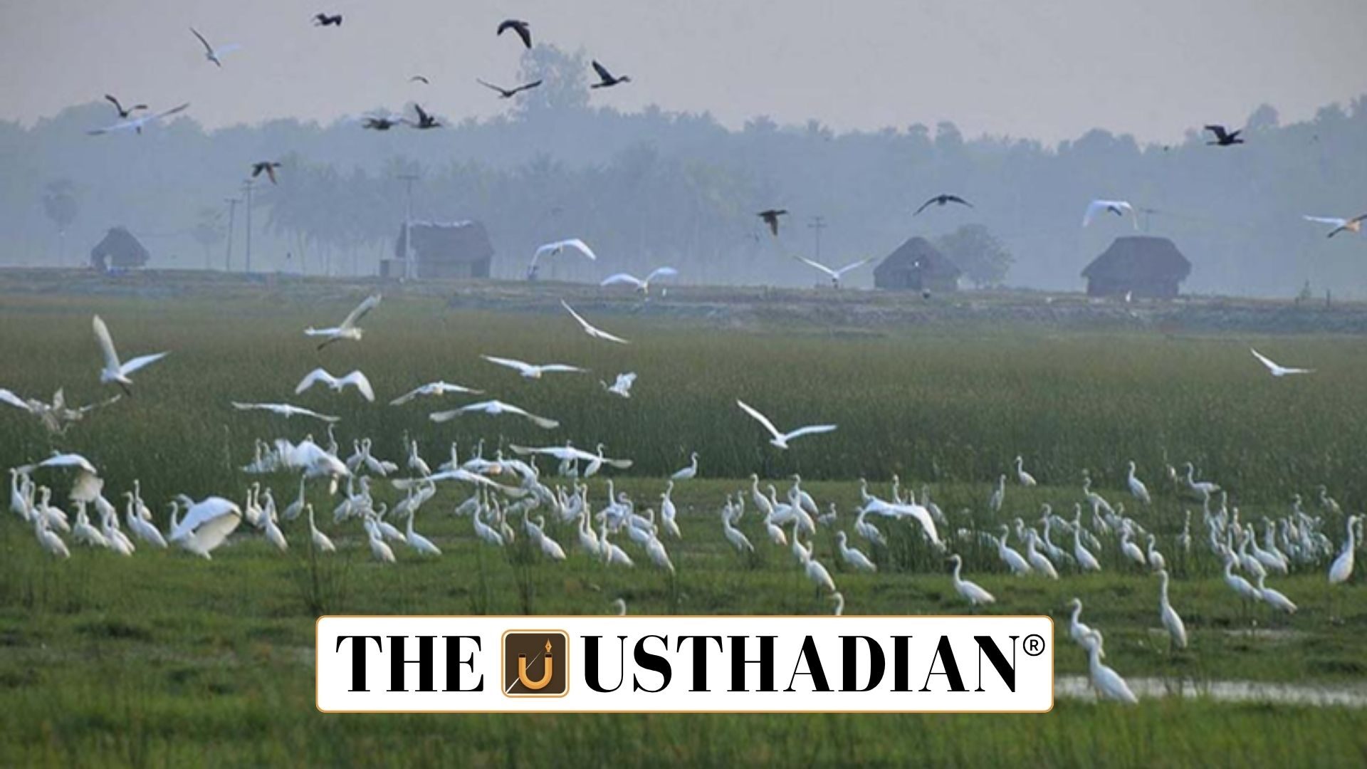 Bihar’s Two New Ramsar Sites