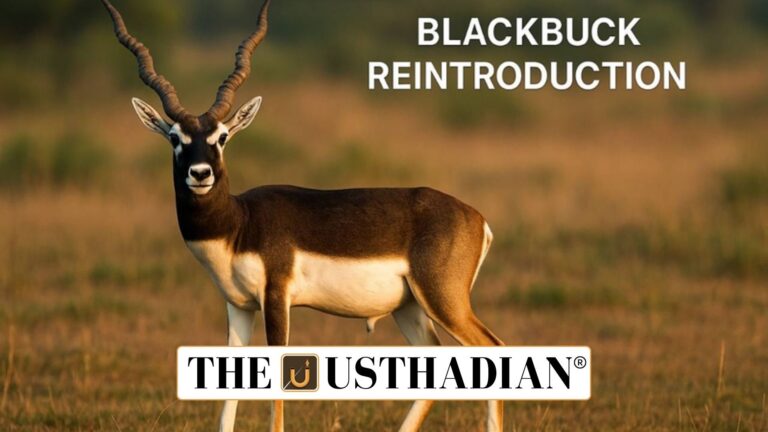 Chhattisgarh Blackbuck Comeback Marks Conservation Success