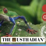 India’s Red List Debuts at Global Conservation Meet
