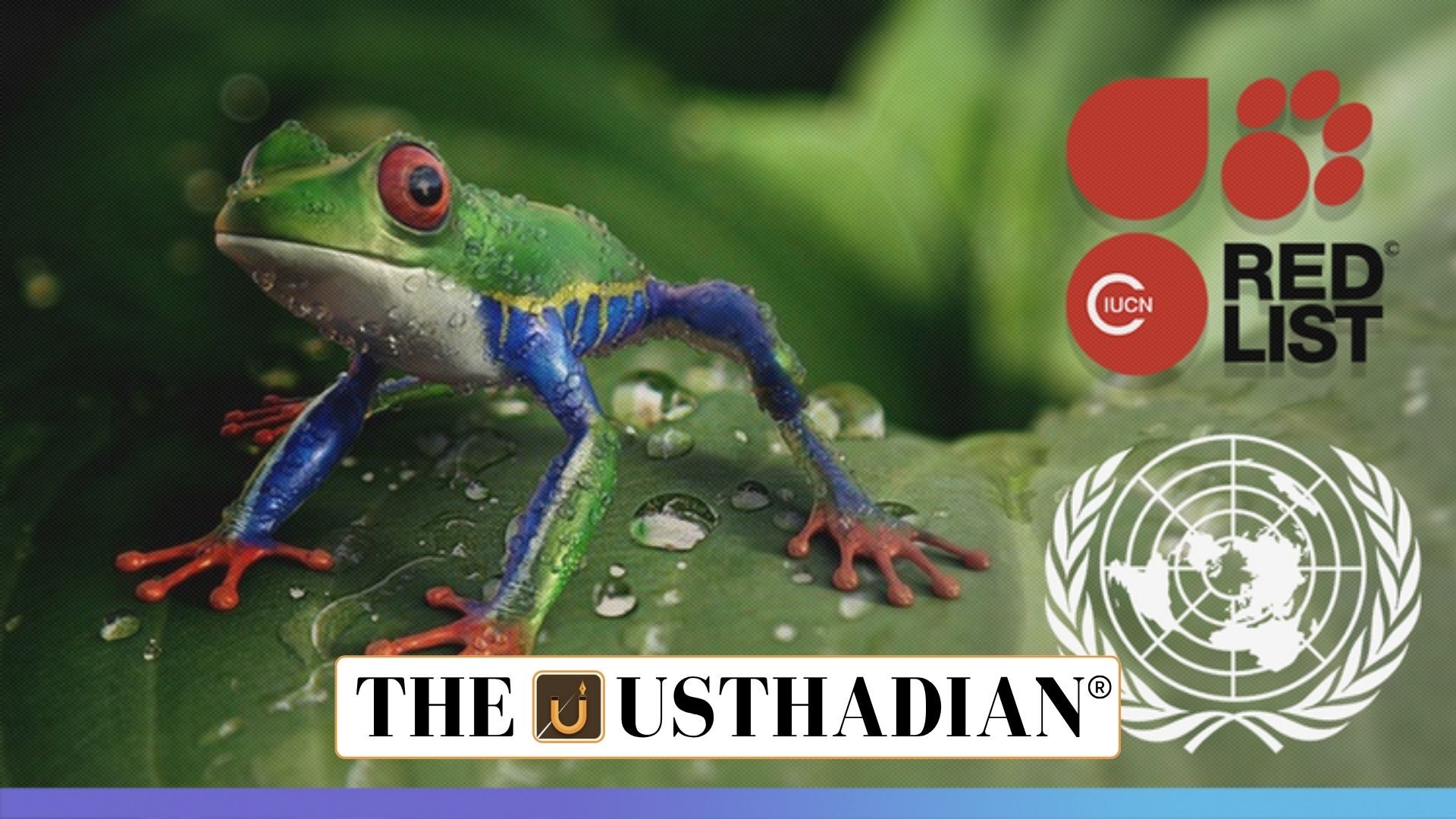India’s Red List Debuts at Global Conservation Meet