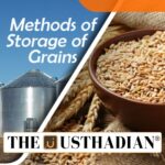 India’s Food Grain Storage Growth 2025