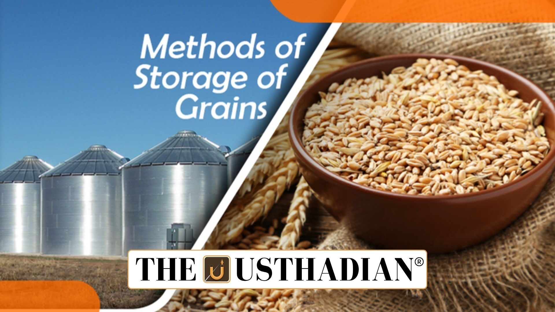 India’s Food Grain Storage Growth 2025