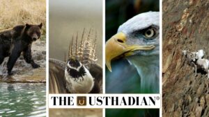 Lesser-Known Endangered Species Protection