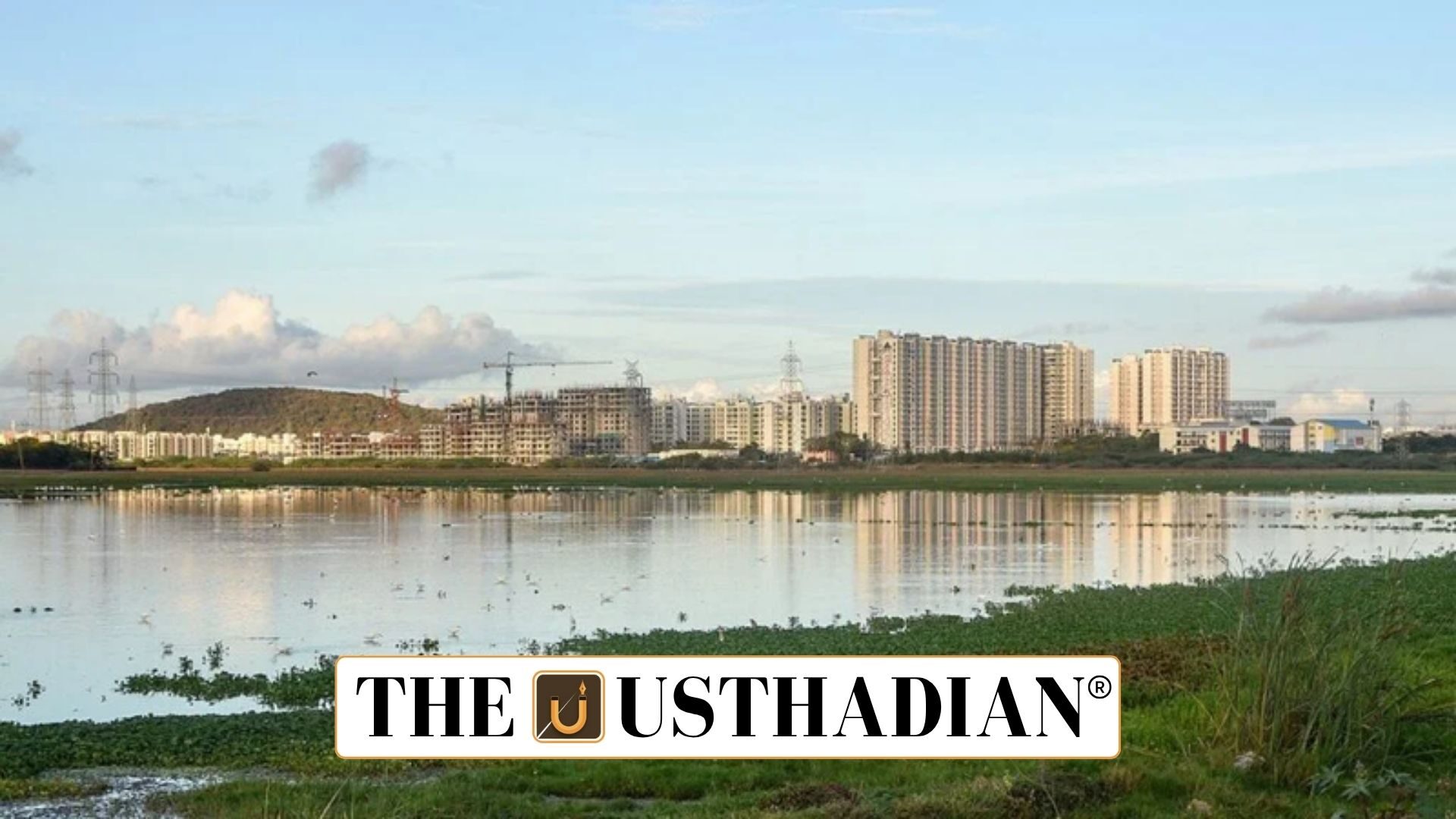 Construction Halt near Pallikaranai Marshland