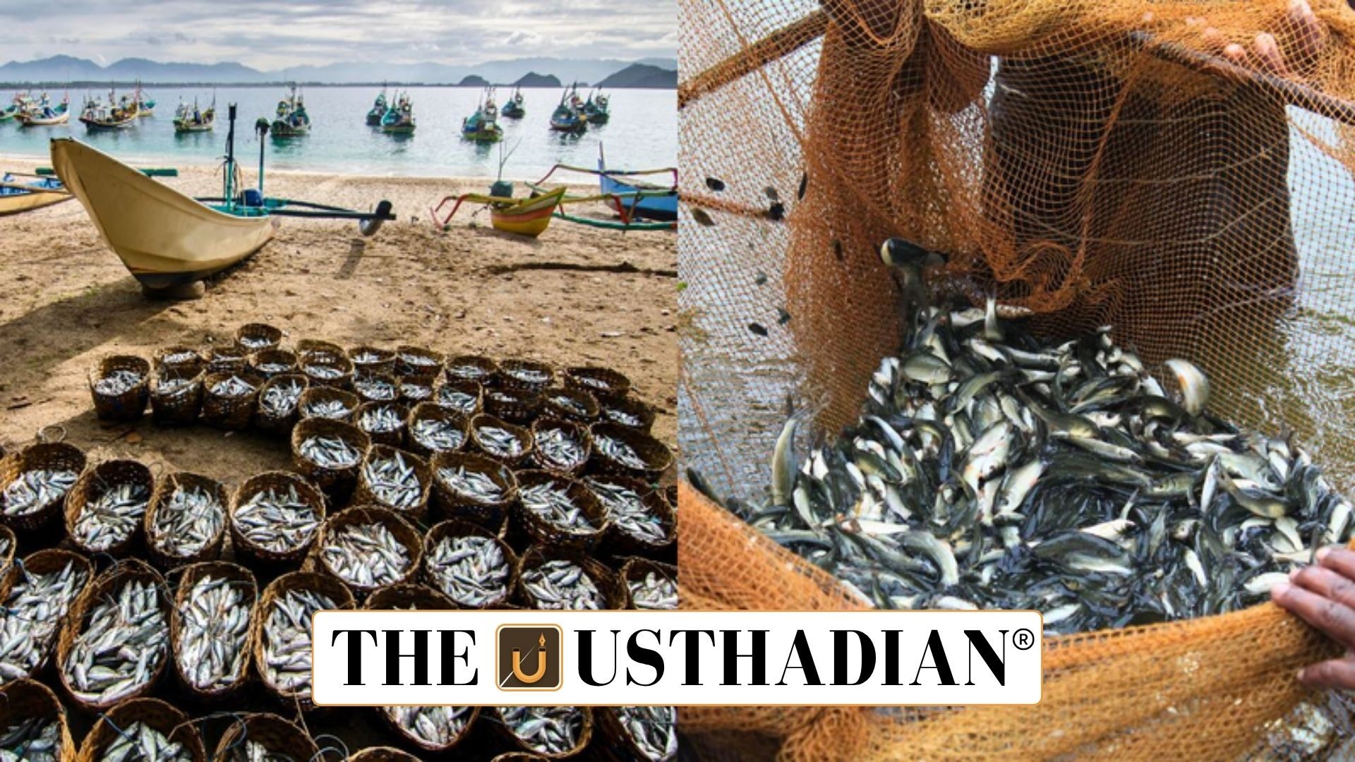 India Achieves Second Spot in Global Fisheries Output
