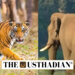 Kerala’s Proposal to Change Wildlife Protection Law